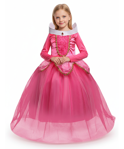 Deluxe Sleeping Beauty Costume