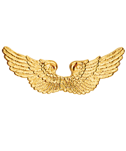 Golden Angel Wings