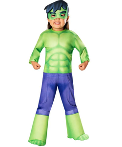 Spidey and His Amazing Friends - Hulk Costume