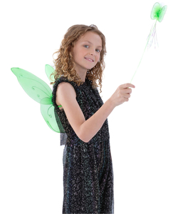 Butterfly Wings & Wand - Green
