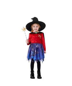 Room on The Broom Costume