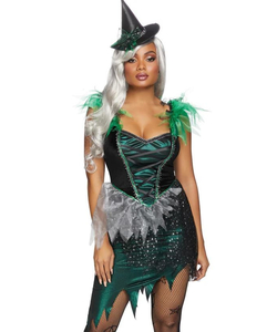 Wicked Witch Costume
