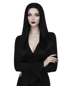 Ladies Long Black Wig