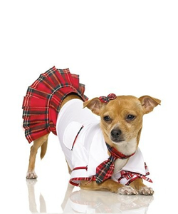 School Puppy Costume
