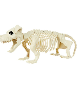 Dog Skeleton Prop