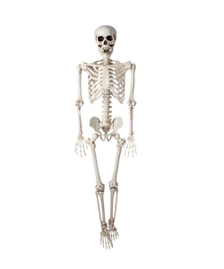 Posable Skeleton Decoration - 90cm