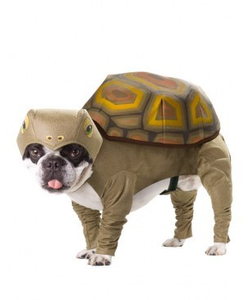 Animal Planet Tortoise Dog costume