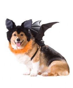 Animal Planet Bat dog costume