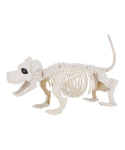 Halloween Dog Skeleton Prop