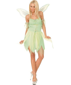 Plus Size Neverland Fairy costume