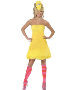 Teen Big Bird Costume