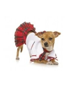 School Puppy Costume