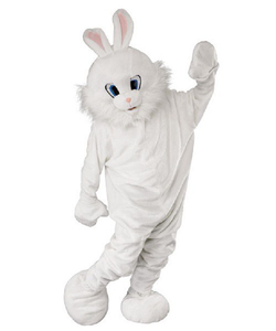Easter Bunny Costume