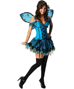 Fairy Costume