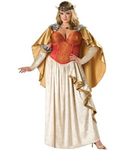 Viking Princess Costume