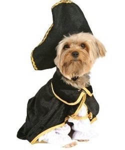 Captain Canine