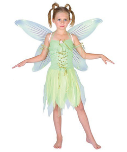 Neverland Fairy Costume