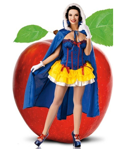Fairy Tale Princess Ladies Costume