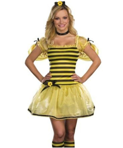 Bee fancy dress
