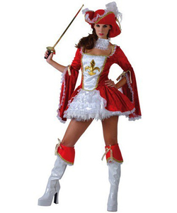 Musketeer lady costume