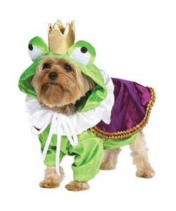 froggy doggy