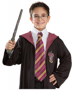 Harry Potter tie