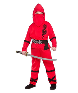 Power ninja costume
