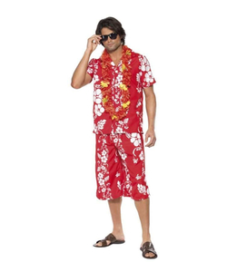 Hawaiia Hunk Costume