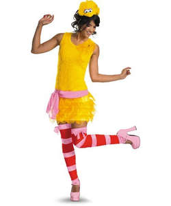 Ladies Big Bird Costume