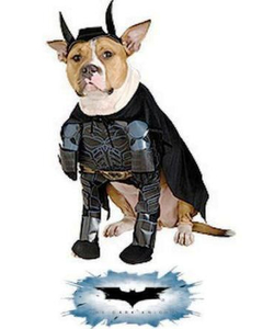 pet batman costume