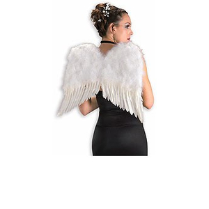 White feather wings