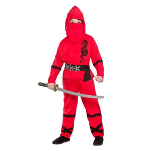 Power ninja costume