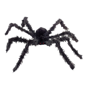 Giant hairy spider