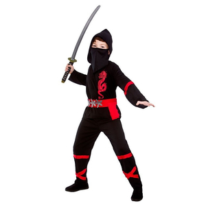 Power ninja costume