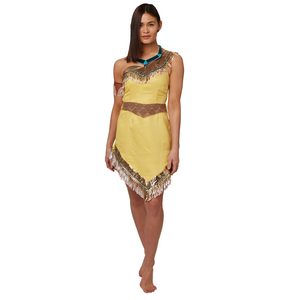 Disney Pocahontas Costume
