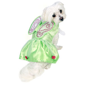 tinker bell dog costume