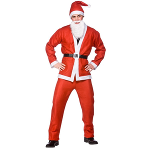 Budget Santa Costume