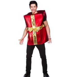 Christmas Gift Costume