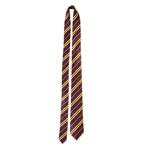 School Boy Wizard tie