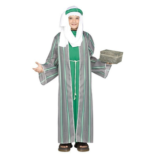 teen wise man costume