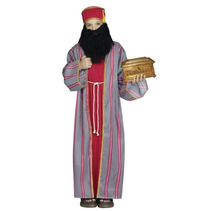 teen wise man costume