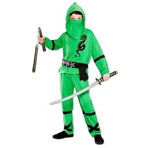 Power ninja costume