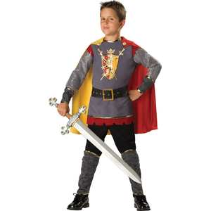 Loyal Knight Costume