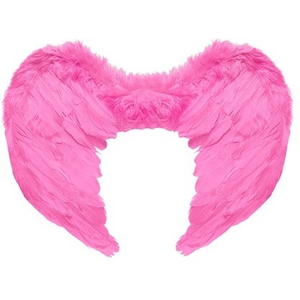 Pink Feather Wings