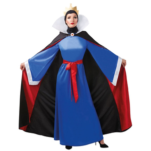 Adult Evil Queen Costume