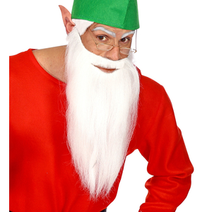 Lond Whit Beard with Moustache