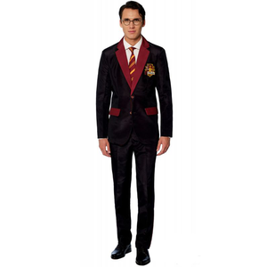 Harry Potter Gryfindor Suit