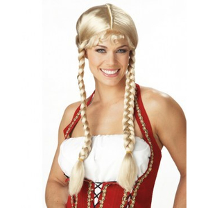 Classic Braids Wig