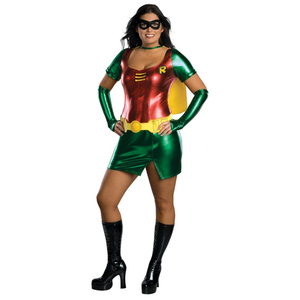 Robin Costume