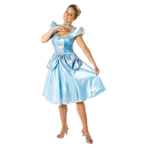 Disney Cinderella Costume